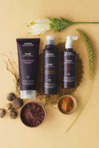 Bester Aveda Friseur Dresden Altstadt - Aveda